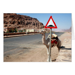 wadi rum camel stop