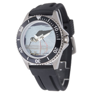 Wading Bird Black and White Coastal Beach Animal Watch