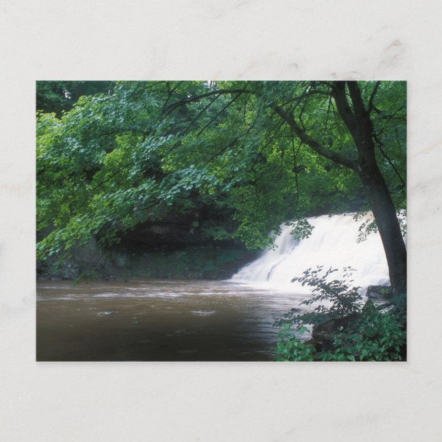 Wadsworth Falls Connecticut Postcard (Front)