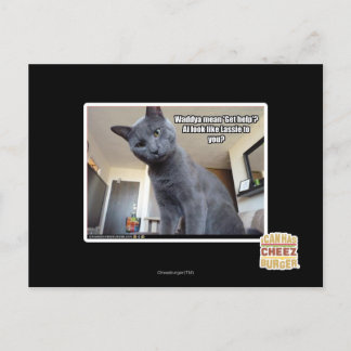 Wadya mean 'Get help'? Postcard