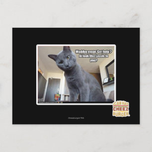 Wadya mean 'Get help'? Postcard