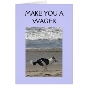 WAGER ON WHO WINS THE RACE!