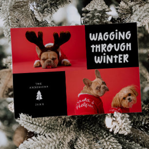 Wagging Through Winter Black Pet Photo Holiday Card