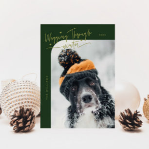Wagging Through Winter Dog Photo Green Christmas Holiday Card