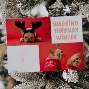 Wagging Through Winter Peach Pet Photo Holiday Card