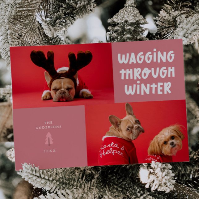 Wagging Through Winter Pink Pet Photo Holiday Card (Creator Uploaded)