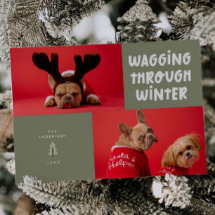 Wagging Through Winter Sage Green Pet Photo Holiday Card