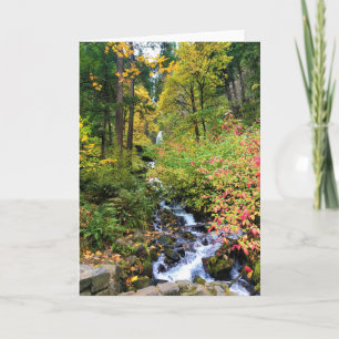 Wahkeena Falls, Columbia River Gorge, Oregon Card