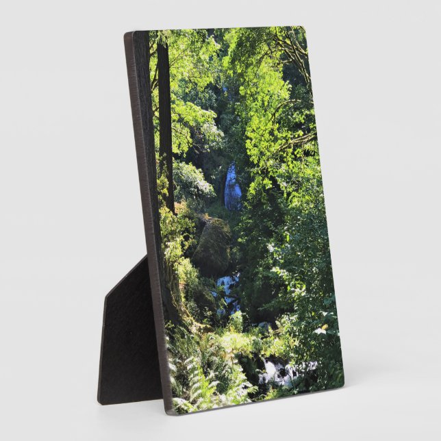 Wahkeena Falls, OR Plaque (Side)