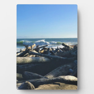 Waikiki Beach, Cape Disappointment, Washington Plaque