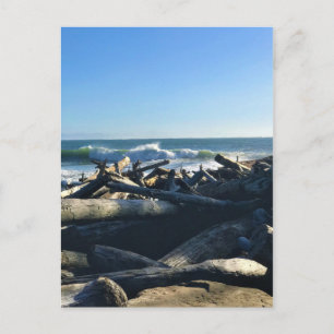 Waikiki Beach, Cape Disappointment, Washington Postcard