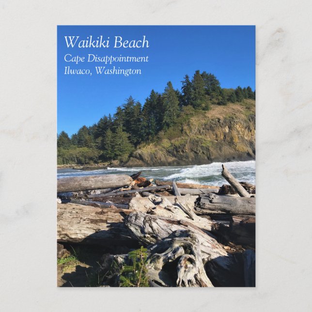 Waikiki Beach, Cape Disappointment, Washington Postcard (Front)