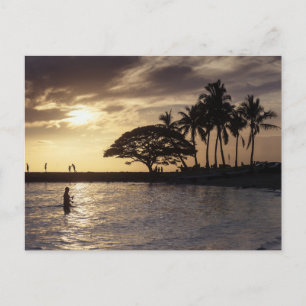 Waikiki Beach Sunset Holiday Postcard