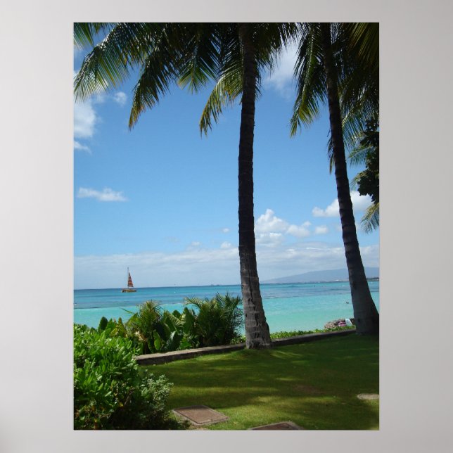 waikiki poster (Front)