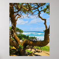 Wailua Golf Course Scene