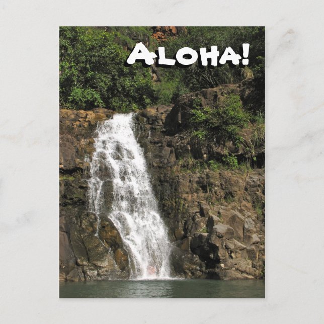 Waimea Audubon Waterfall from Hawaii Postcard (Front)