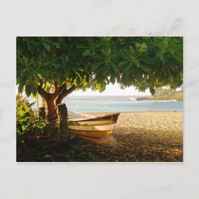 Waimea Bay Summer Eve Photo by Daniela Power Postcard (Front)