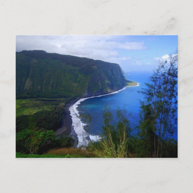Waipio Valley Lookout Postcard (Front)