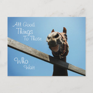 Wait - Encouraging Postcard