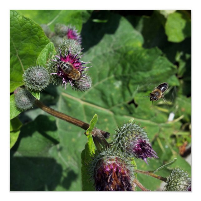 wait for me poster (Front)