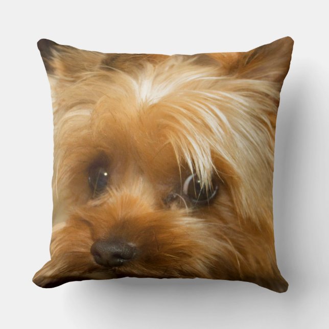 Wait for mum love  haley dog yorkie terrier cushion (Front)