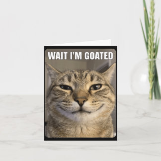 Wait Goated Cat Funny Silly Staring Cat Funny Meme Card