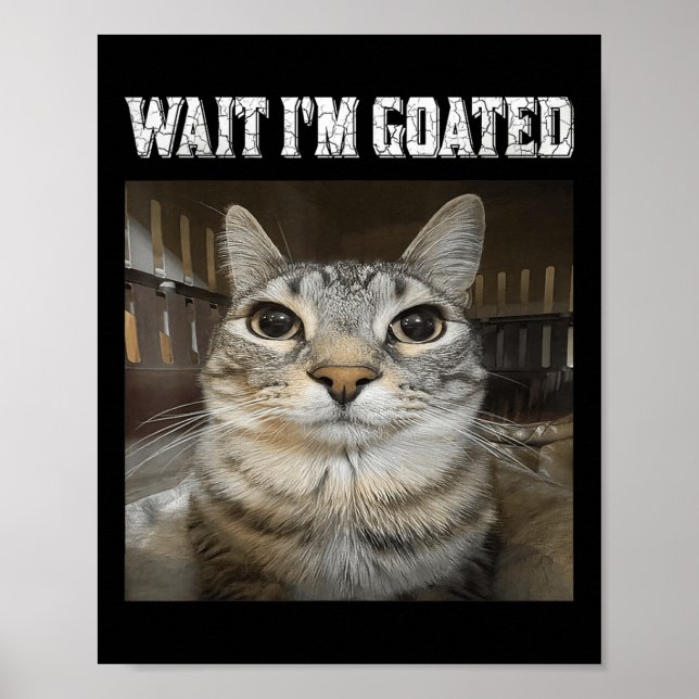 Wait Im Goated Cat Humour Meme  Poster (Front)