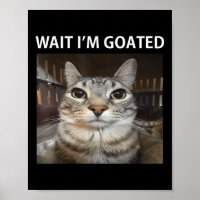 Wait Im Goated Silly Cat Meme 