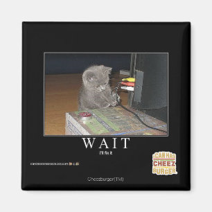 Wait Magnet