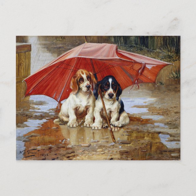 Wait Till the Clouds Roll By W.H. Trood cute dogs Postcard (Front)