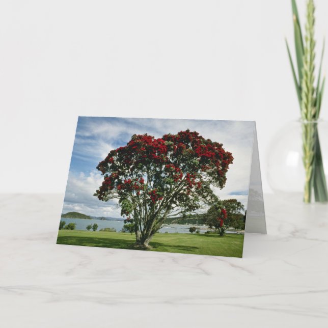 Waitangi, Christmas Tree, New Zealand flower Holiday Card (Front)