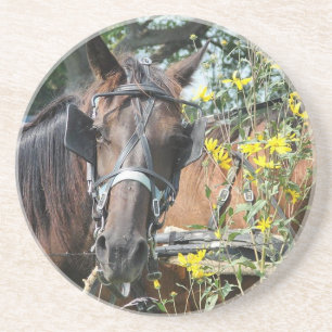 Waiting amish horse coaster