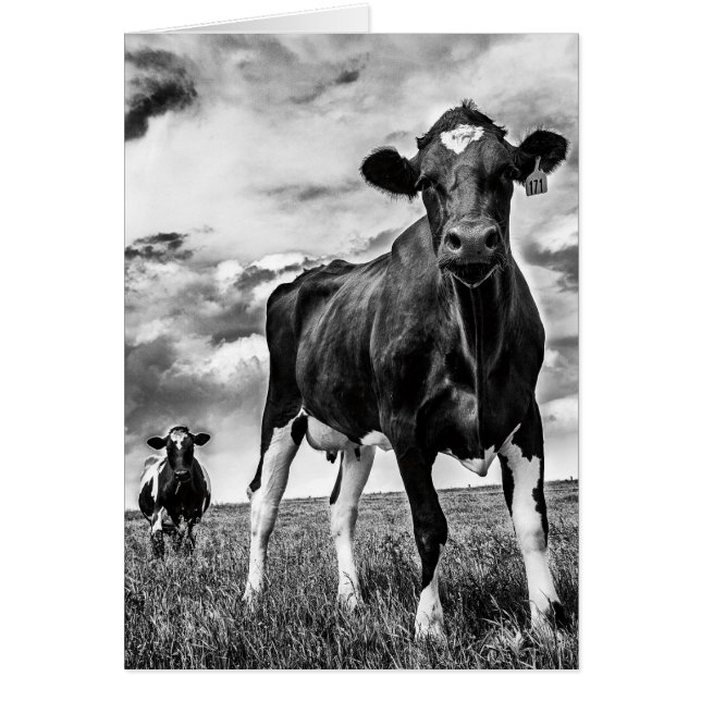 Waiting BW Crop (Front)