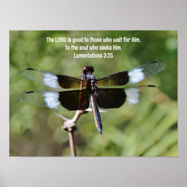 Waiting Dragonfly Nature Bible Verse Poster (Front)