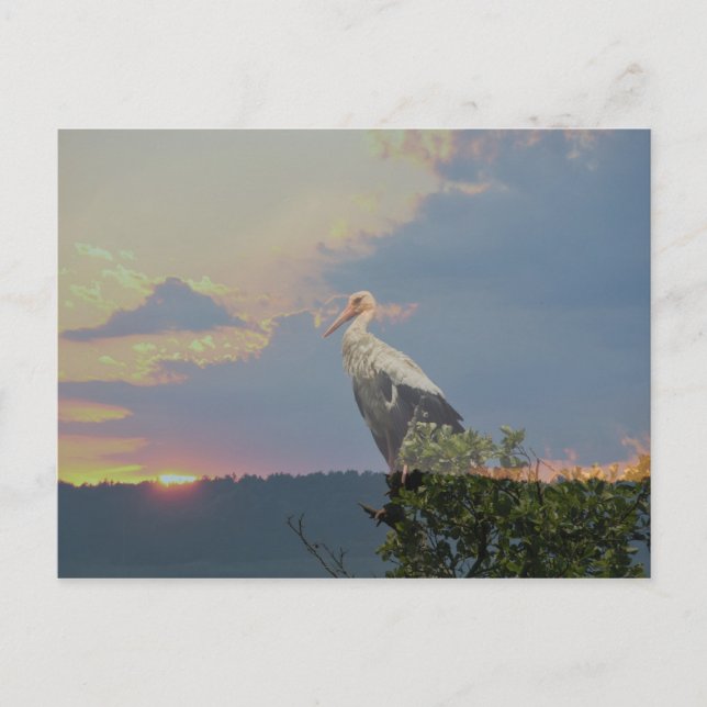 Waiting for autumn postcard (Front)