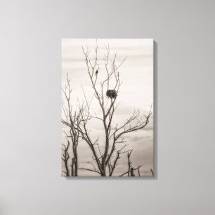Waiting for Life Canvas Print