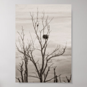 Waiting for Life Poster