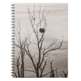 Waiting for Life Spiral Notebook