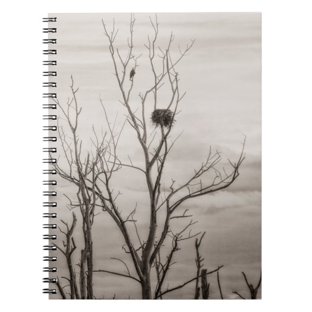 Waiting for Life Spiral Notebook (Front)