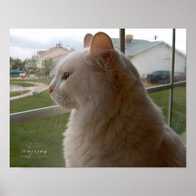 Waiting For My Human Poster (Front)