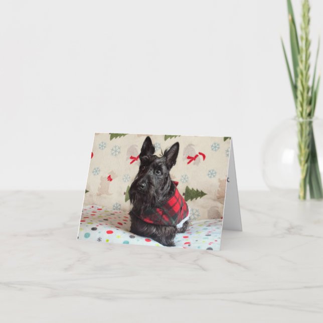 Waiting for Santa Paws Card (with text) (Front)