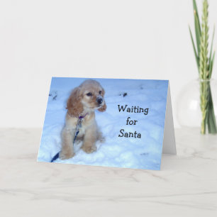 WAITING FOR SANTA says SNOWBOUND SPANIEL PUPPY Holiday Card