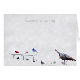 Waiting for spring
