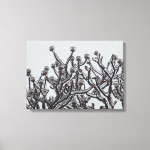 Waiting For Spring -- Dogwood Tree In Ice Canvas Print
