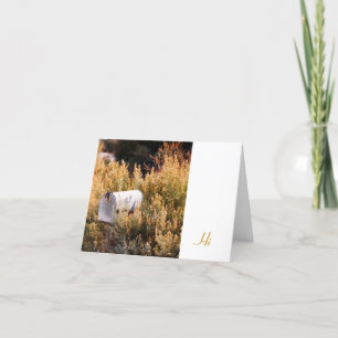 Waiting for the mail. card