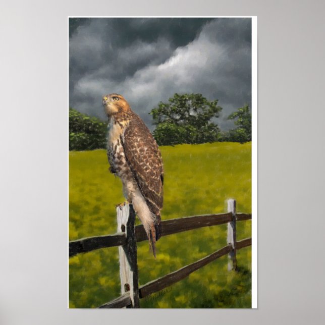 Waiting for the Storm - Red tail Hawk Poster (Front)