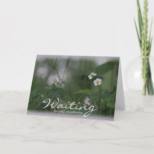Waiting for wild strawberries CC0479 Greeting Card