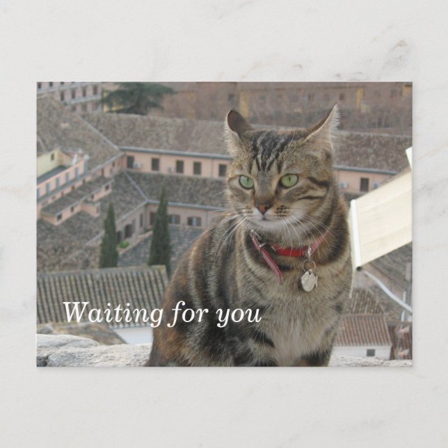 Waiting for you Postcard (Front)