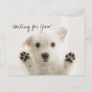 Waiting for You Postcard