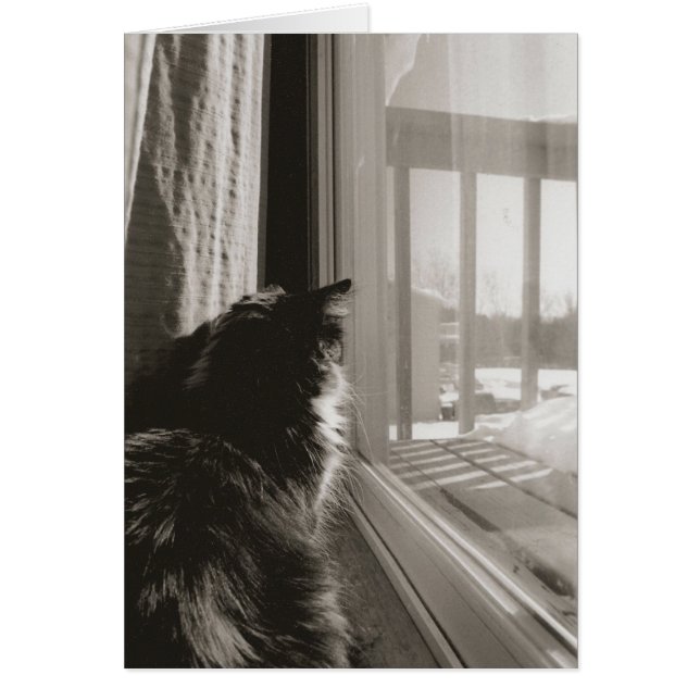 Waiting in the Sun (Front)